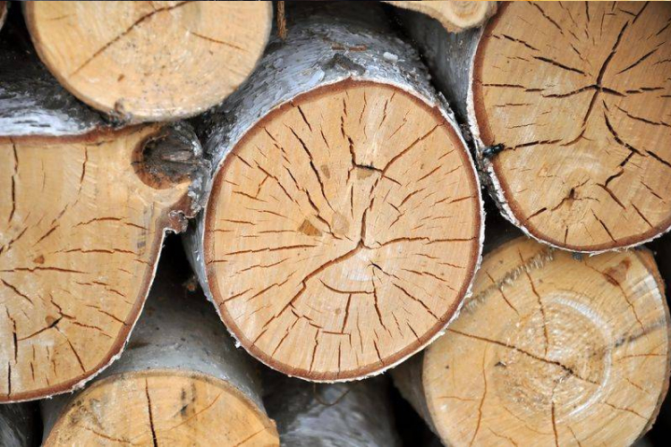 чем топить печь в бане